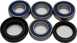 All Balls Drive Wheel Bearing and Seal Kit 22-51036 with bearings and seals displayed in a clean, organized set.