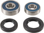 All Balls drive wheel bearing and seal kit 22-51791, includes bearings and seals for vehicle wheel assembly repair.