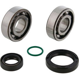 All Balls crank bearing kit 22-41131 for engine, showing multiple bearings and components arranged on a white background.
