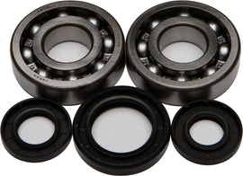 All Balls engine crankshaft bearing and seal kit 22-41028 showing bearings, seals, and installation components.