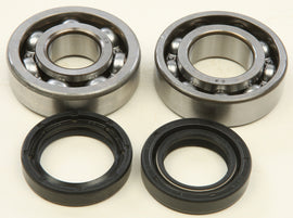 All Balls crankshaft bearing and seal kit for engine, showing bearings and seals in a compact set.