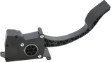 Ride By Wire Throttle Assy Pol