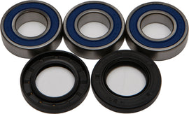 All Balls Rear Wheel Bearing and Seal Kit 22-51021 with bearings and seals for motorcycle or bike wheel maintenance