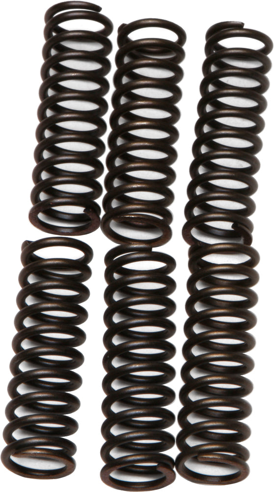 EBC Motorcycle Brakes clutch springs set, CSK17 15-1717, showing four silver coil springs for motorcycle clutch assembly.