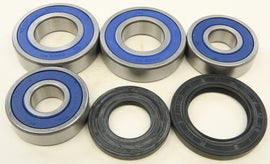 All Balls rear wheel bearing kit 22-51694 with multiple bearings and components for motorcycle wheel maintenance.