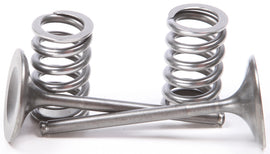 ProX Racing Parts intake valve conversion set in titanium and steel for engine performance, shown in a close-up image.