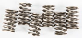 EBC Motorcycle Brakes clutch springs Csk129 15-17129, close-up view showing metal springs for motorcycle clutch assembly.