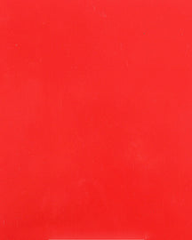 Cab Asylum Cage W/No Intrusion Red