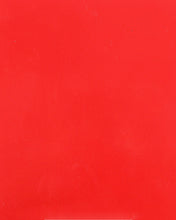 Load image into Gallery viewer, Baja Cage W/V Intrusion Red
