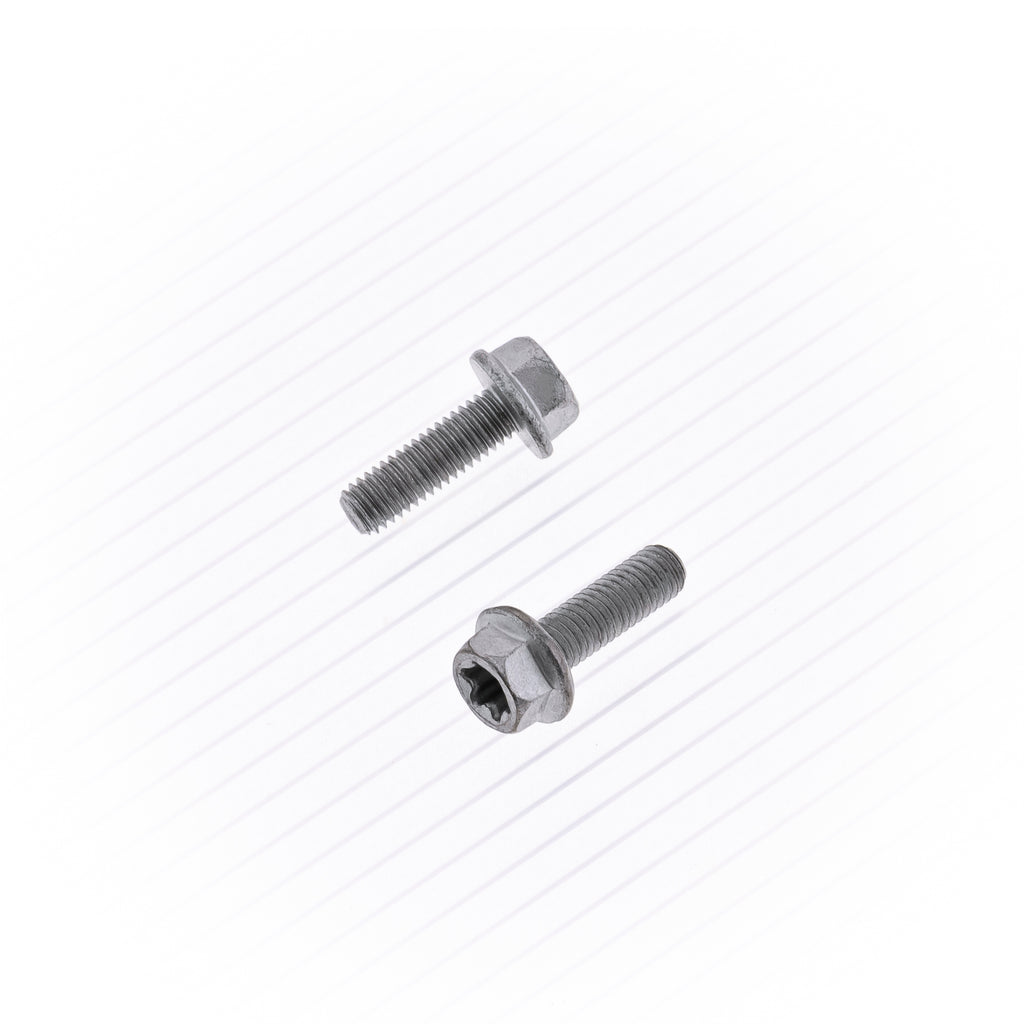 BOLT 10-pack Euro Flange Bolts 5x16mm for hardware and fittings, showing metal bolts with flange head and threaded shaft.