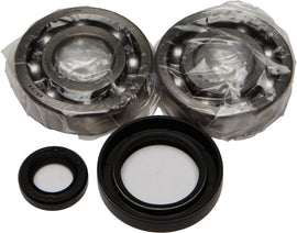 All Balls engine crankshaft bearing and seal kit 22-41004, showing metal bearings and rubber seals for engine repair.