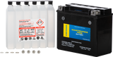 Fire Power - Battery Ctx20hl-Bs-Ft Maintenance Free - 49-3035
