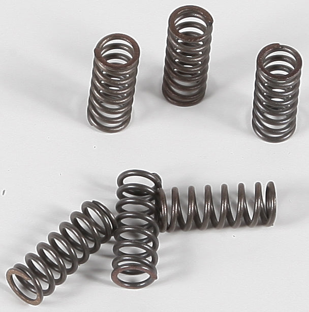 EBC Motorcycle Brakes clutch springs Csk39 15-1739, showing a close-up of durable metal clutch springs for motorcycle clutch system
