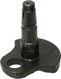 ca56-5885dada528b3.jpg