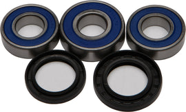 All Balls rear wheel bearing and seal kit for street motorcycles, showing metal bearings and rubber seals in the kit.