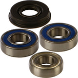 All Balls - Chain Case Bearing & Seal Kit - 141-9018