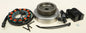 Cycle Electric XL 1200 alternator kit for Harley-Davidson motorcycles, includes electrical components and mounting hardware.
