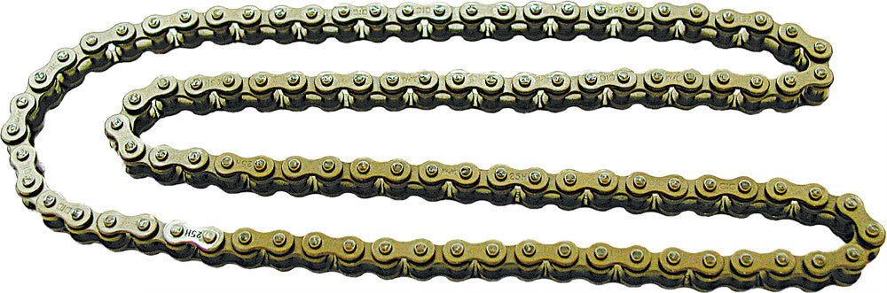 D.I.D cam chain BF05MUX120 for GS750, GS800, GS1000, GS1100 engine models, showing the chain's detailed metal links and structure.