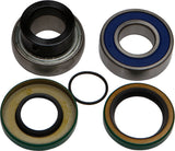 All Balls - Chain Case Bearing & Seal Kit - 141-9055