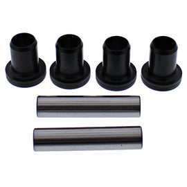 d609-5eaae96dc8b5e.jpg