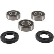 Pivot Works rear wheel bearing kit 52-0539 for drive wheel, showing bearings and components for motorcycle or bike repair.