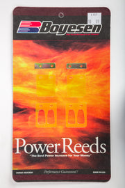 Boyesen motorcycle reeds 59-76107 for intake and carburetor fuel system, showing the metal reed valves in the image.