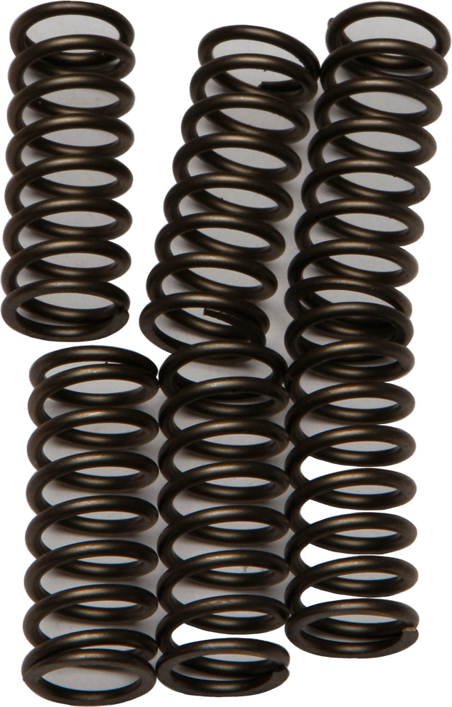 EBC Motorcycle Brakes clutch springs Csk184 15-17184 shown in close-up, with metal springs and clutch components visible.