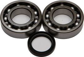 All Balls engine crankshaft bearing and seal kit 22-41081, includes bearings and seals for engine repair, shown with components laid out.