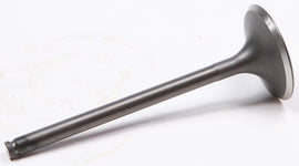 e004-572a59097c0d2.jpg