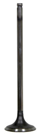 Bronco engine intake valve 183-09192 with metal stem and valve seat, designed for vehicle engine performance.