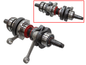 Crankshaft Assembly S D 600 Ho