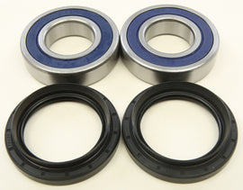 All Balls drive wheel bearing and seal kit 22-51693 showing bearings and seals for motorcycle or vehicle wheel assembly.
