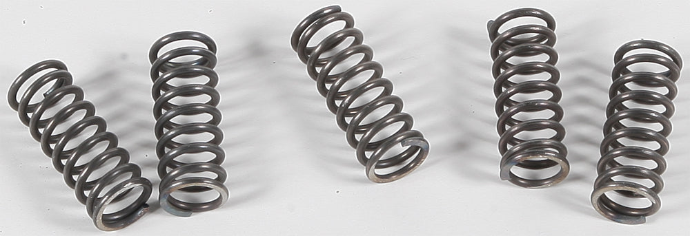 EBC Motorcycle Brakes clutch springs Csk70 15-1770 shown in close-up, highlighting the metal coil springs for motorcycle clutch systems.
