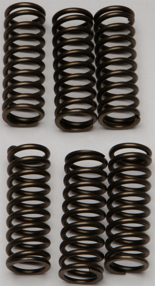 EBC Motorcycle Brakes clutch springs CSK145, set of springs with coiled metal design for motorcycle clutch system.