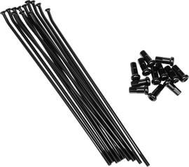 e8ce-6a91c5b167953.png