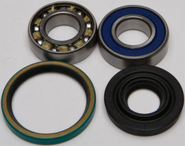 All Balls Drive Chain Case Bearing and Seal Kit 141-9017 with bearings and seals for motorcycle drive systems.