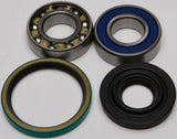 All Balls - Chain Case Bearing & Seal Kit - 141-9017