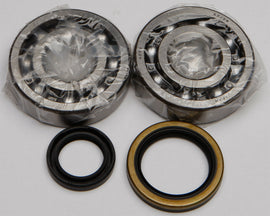 All Balls engine crankshaft bearing and seal kit 22-41060 with bearings and seals arranged for engine repair.