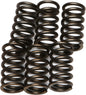 EBC Motorcycle Brakes clutch springs CSK10 15-1710 showing metallic coil springs for clutch assembly