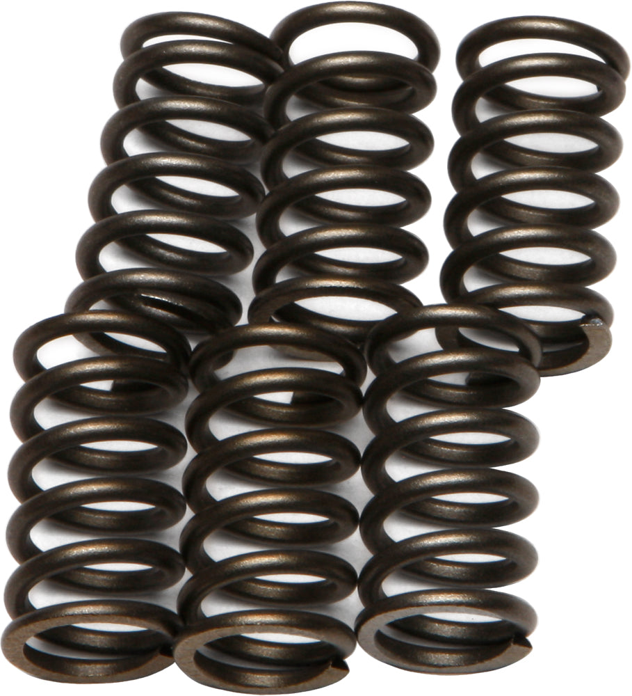 EBC Motorcycle Brakes clutch springs CSK10 15-1710 showing close-up of black coil springs for clutch assembly.