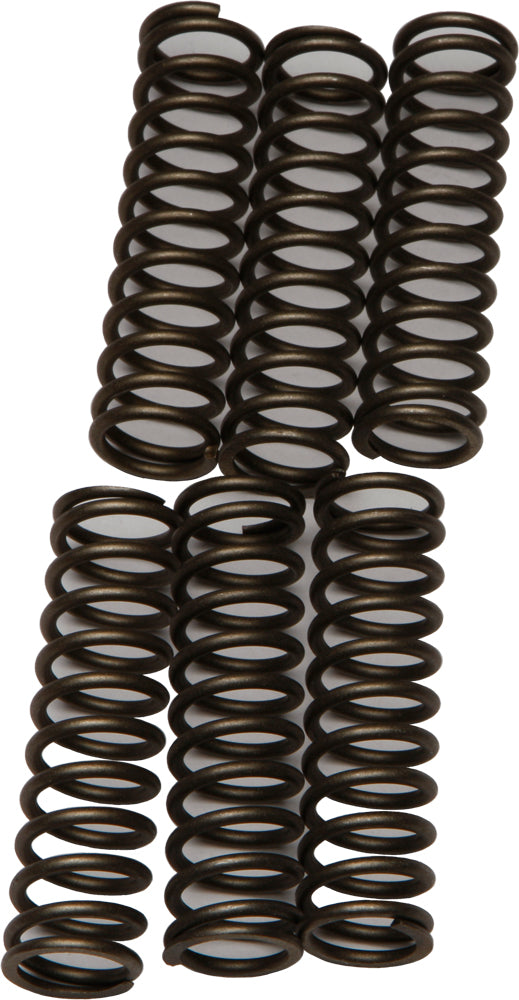 EBC Motorcycle Brakes clutch springs CSK109, 15-17109, showing close-up of black coil springs for clutch assembly