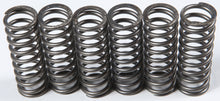 Load image into Gallery viewer, EBC Motorcycle Brakes Clutch Springs CSK119, set of replacement clutch springs for motorcycle clutch system.