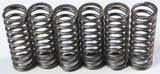 EBC Motorcycle Brakes Clutch Springs Csk119 15-17119
