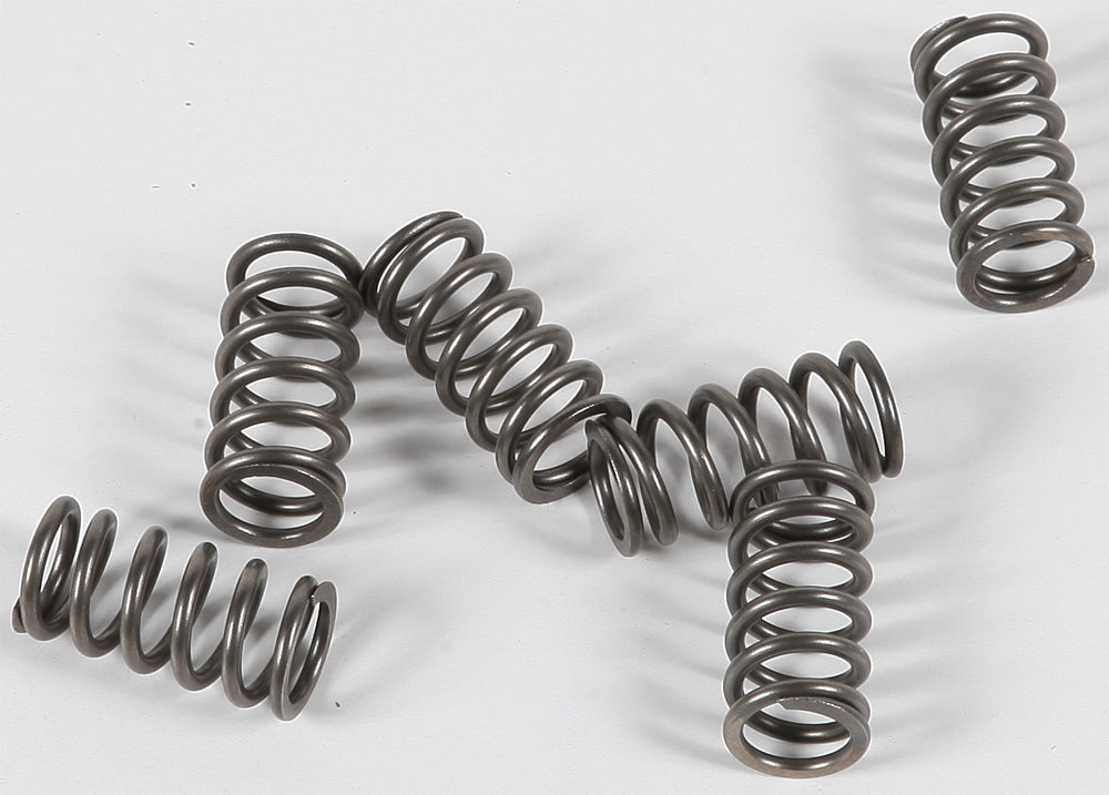 EBC Motorcycle Brakes clutch springs CSK139, high-performance clutch springs for motorcycle clutch systems.