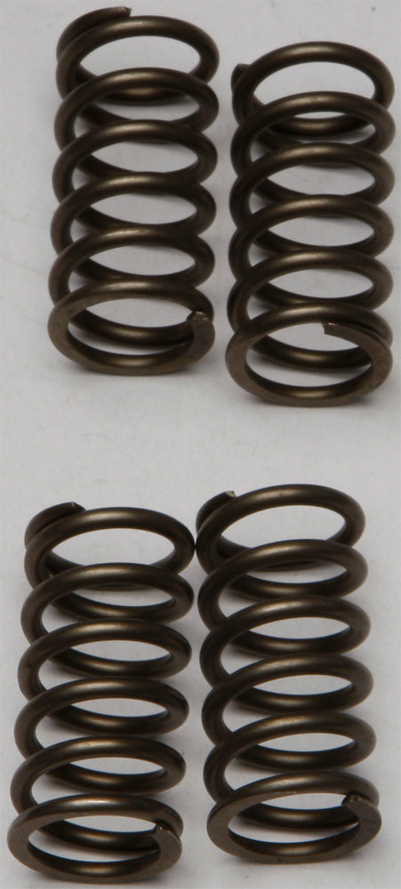 EBC Motorcycle Brakes clutch springs CSK142, high-quality replacement clutch springs for motorcycle clutch assembly