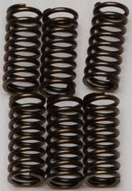 EBC Motorcycle Brakes clutch springs CSK144, durable set for improved clutch performance, shown in close-up image.