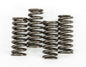 EBC Motorcycle Brakes clutch springs CSK149 15-17149 displayed on a white background, showing the coiled metal springs for clutch assembly.