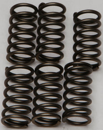 EBC Motorcycle Brakes clutch springs CSK159 15-17159 showing close-up of metallic springs for clutch performance