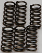 EBC Motorcycle Brakes clutch springs CSK159 15-17159 showing close-up of metallic springs for clutch performance