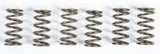 EBC Motorcycle Brakes Clutch Springs Csk165 15-17165